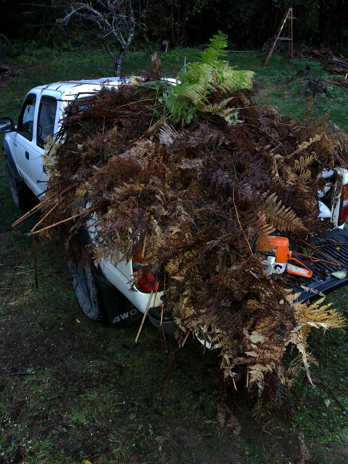 [Thumbnail for 6DCCA2BE-D805-454B-9E74-18D0BB6AC31A.jpeg]