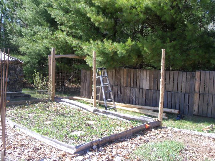 Kiwi trellis posts