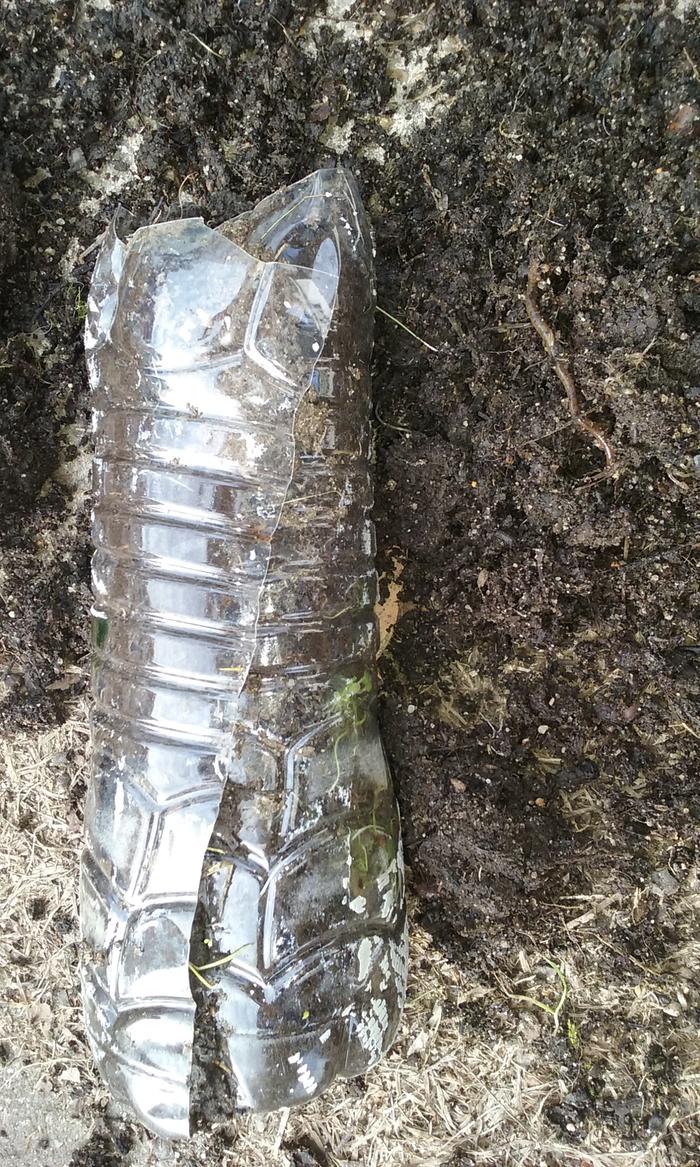 [Thumbnail for 20181201_112527.jpg]