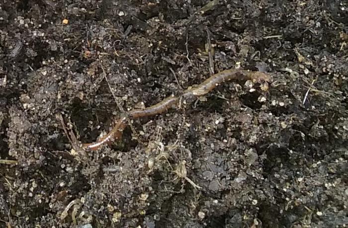 [Thumbnail for 20181201_112527-(2).jpg]