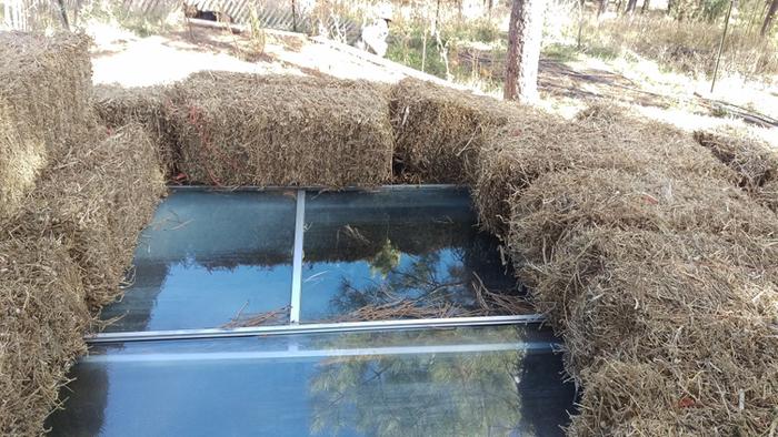 [Thumbnail for Rotten-hay-with-sliding-glass-door-panels-on-semi-buried-Koi-Spa-pond.jpg]