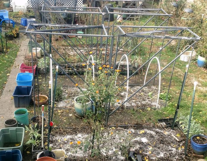 This is a shot from yesterday showing dead tomato, cucumber, and cucamelon vines removed for the season and beds in the middle of being prepped for fall.