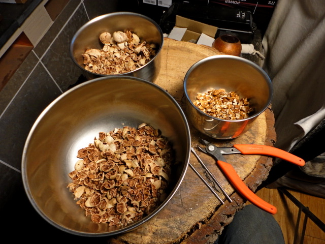 Partway through the process. The large bowl has the shell fragments, which I end up burning in my RMH. The smallest bowl has the nutmeats.