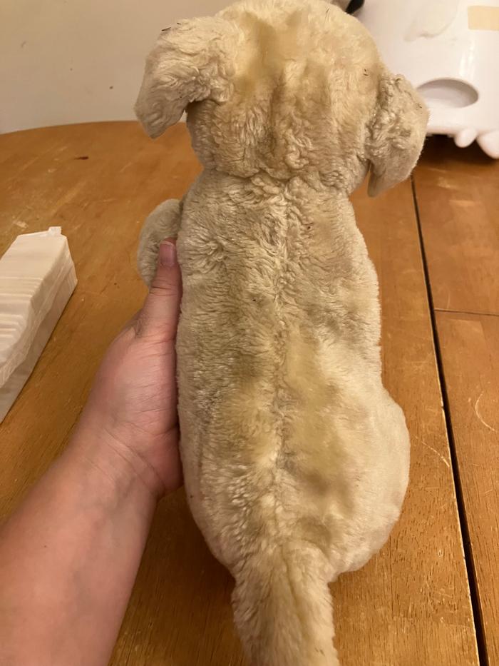 All done! Little puppy is ready to be played with ❤️