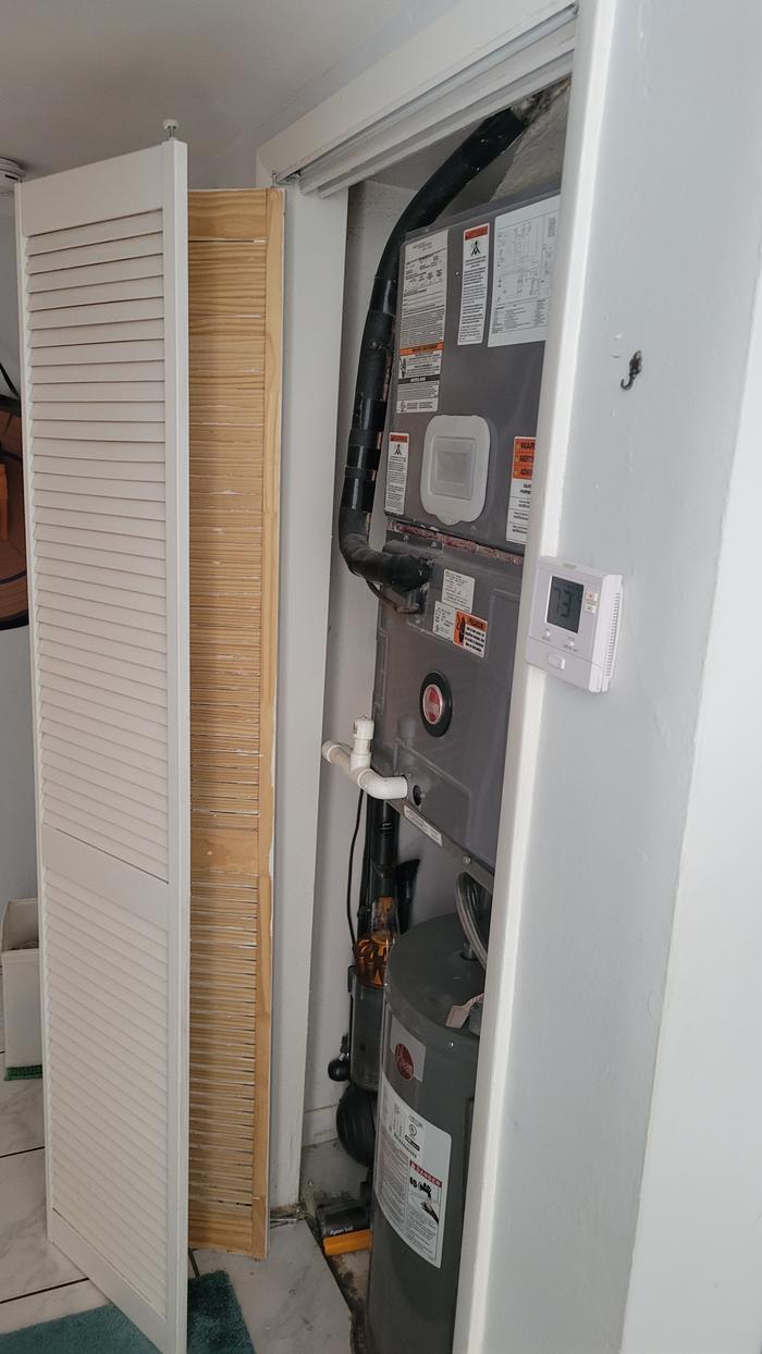 Door before, not dooring. Also, gross