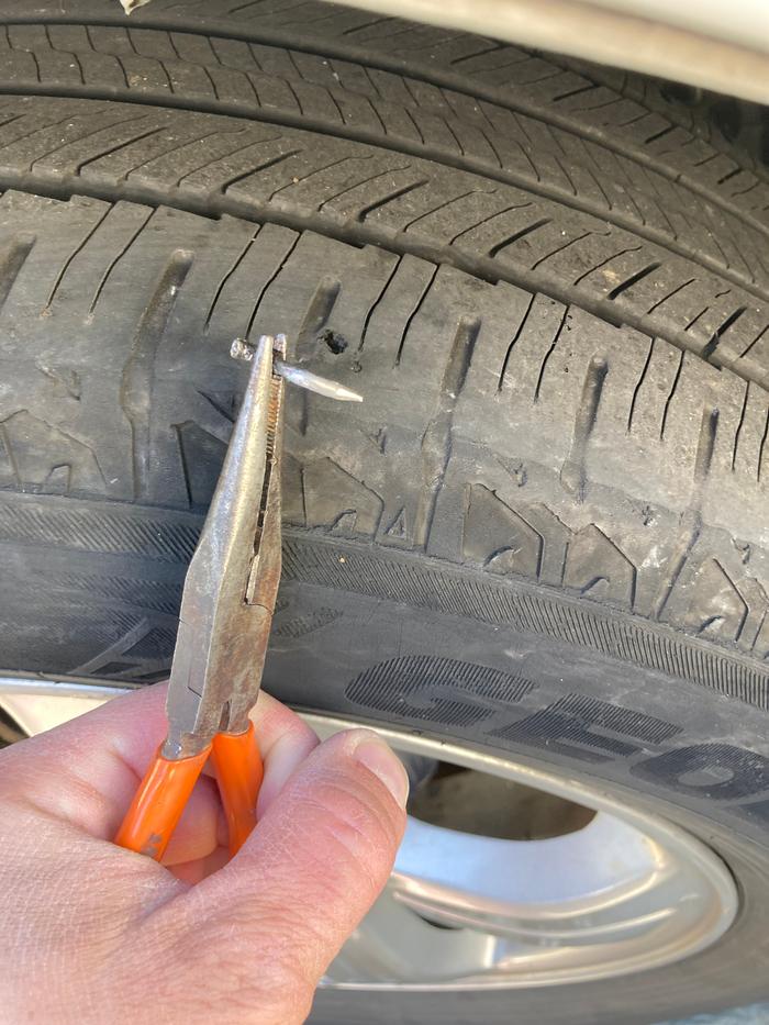 The removed nail with the hole.