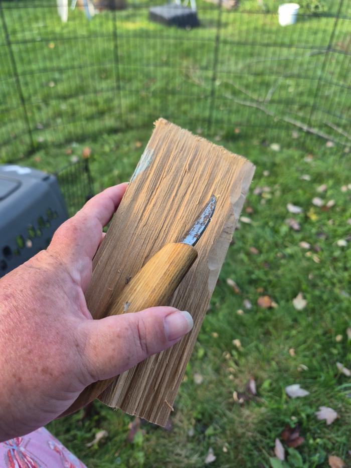Wood and tool I'm starting with