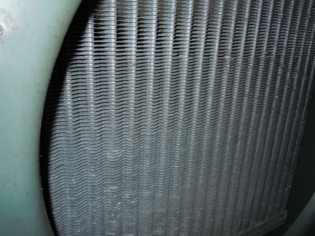 [Thumbnail for DSCN3114-1-.JPG]