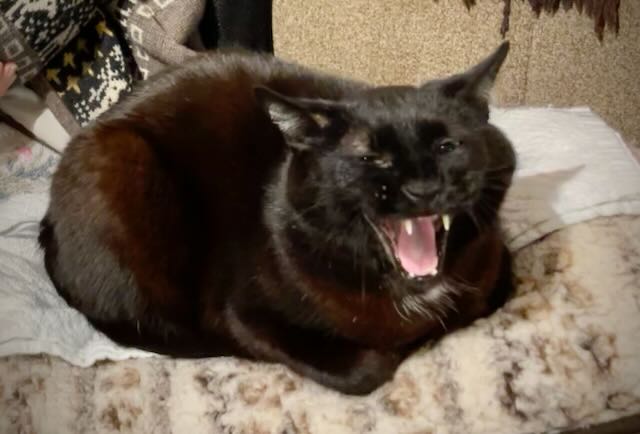 [Thumbnail for IMG_5794.jpeg]