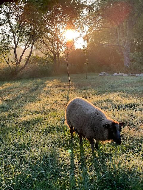 [Thumbnail for IMG_7573.jpeg]