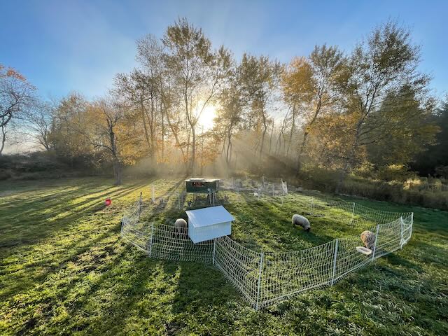 [Thumbnail for IMG_8046.jpeg]