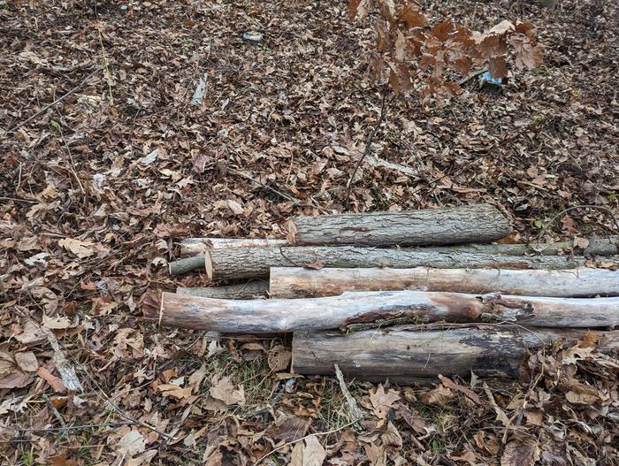 Logs I picked out while volunteering