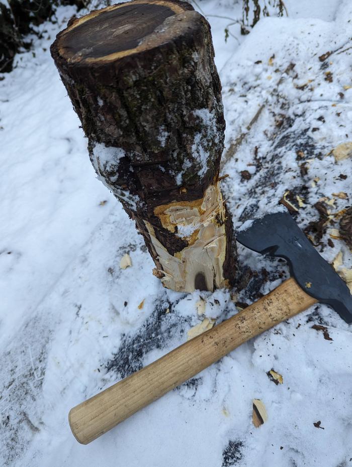 some initial cutting with a hatchet