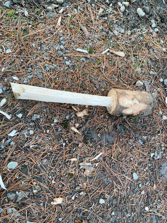 [Thumbnail for IMG_1375.jpeg]