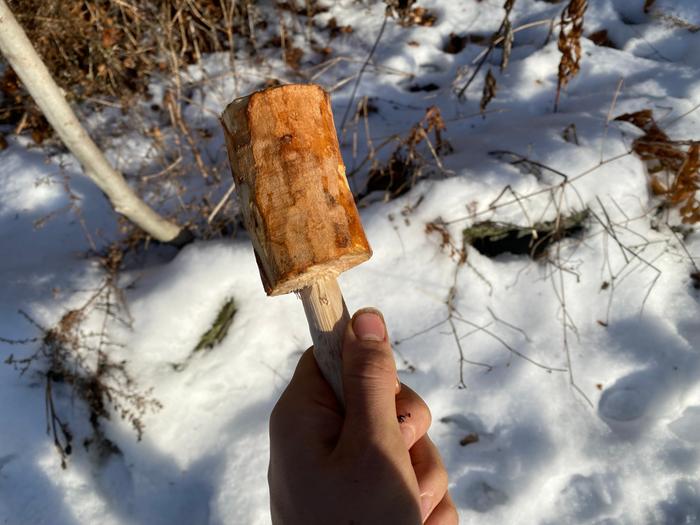 [Thumbnail for IMG_1378.jpeg]