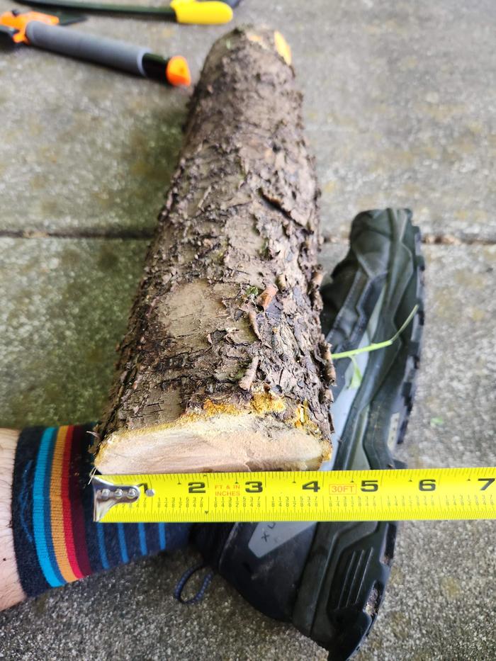 Starting wood 2