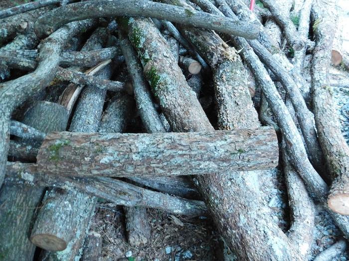 wood selected for mallet