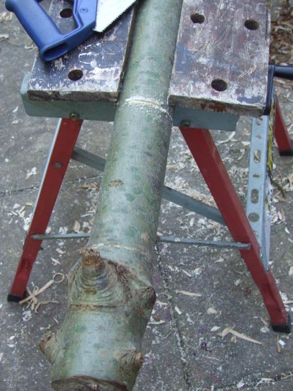 cutting wood for mallet