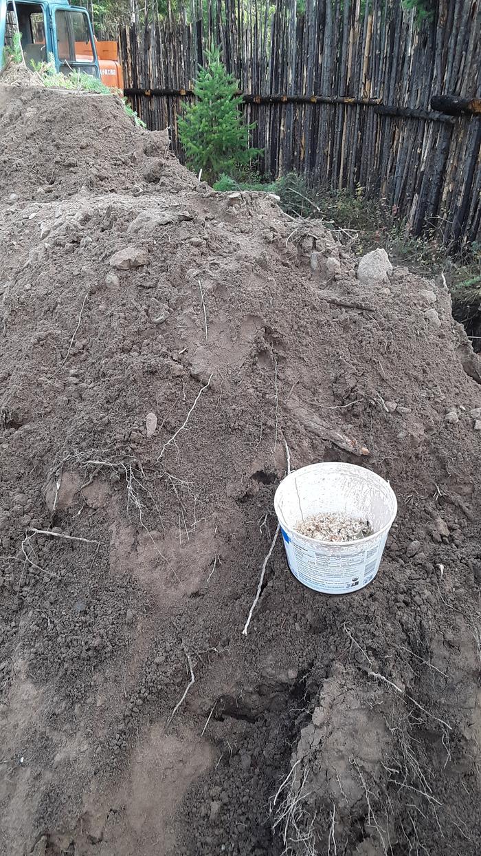 Seeds and comfrey and sunchokes about to get planted