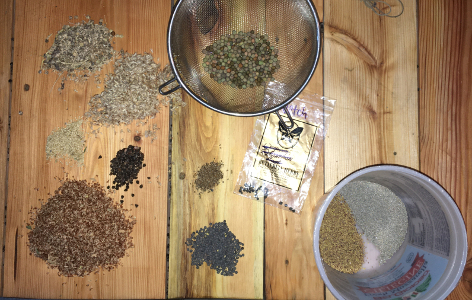 seed gathering in the Library - peas are in the strainer and two types of clover are in the tub. Other nitrogen fixers are on the left.