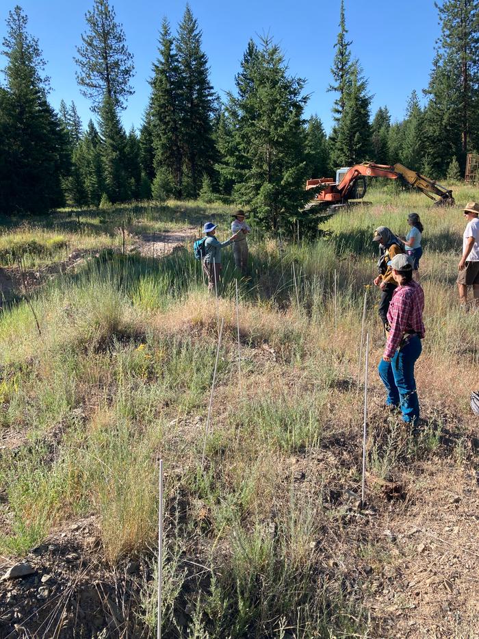 This area is full of little hills and valleys from people practicing with the excavator 