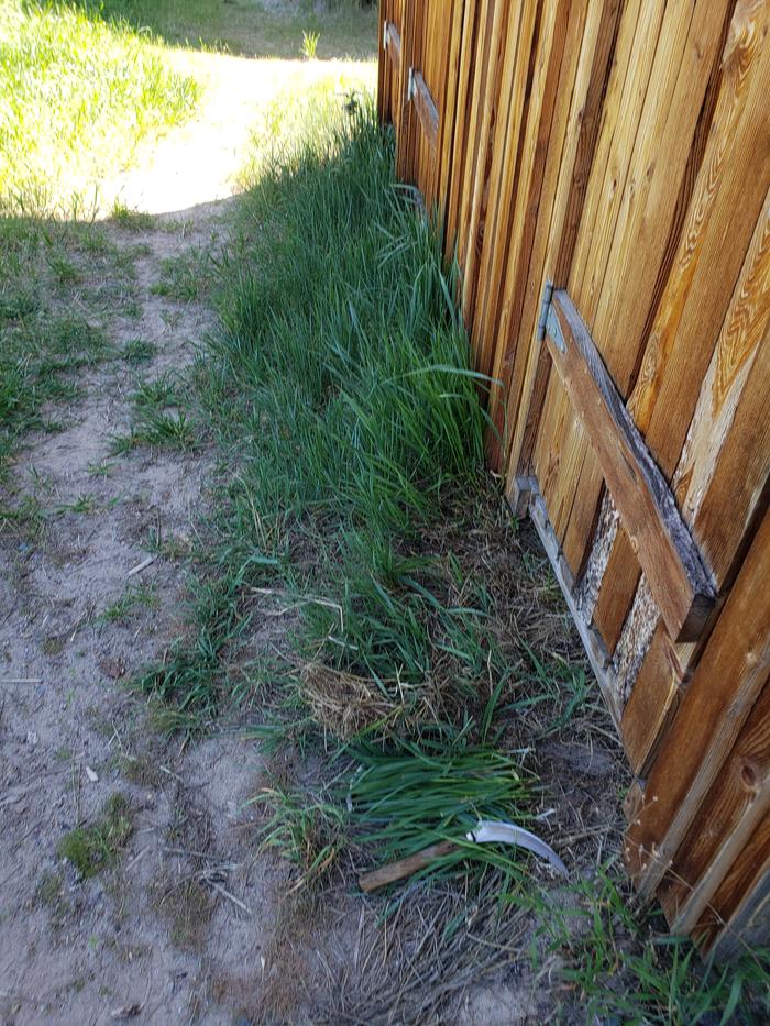 Before chop 30 sq ft