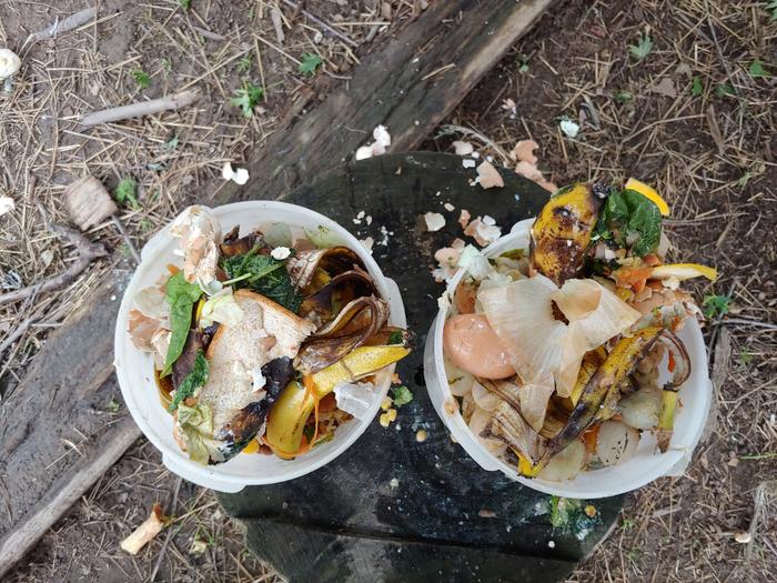 gathering of waste food