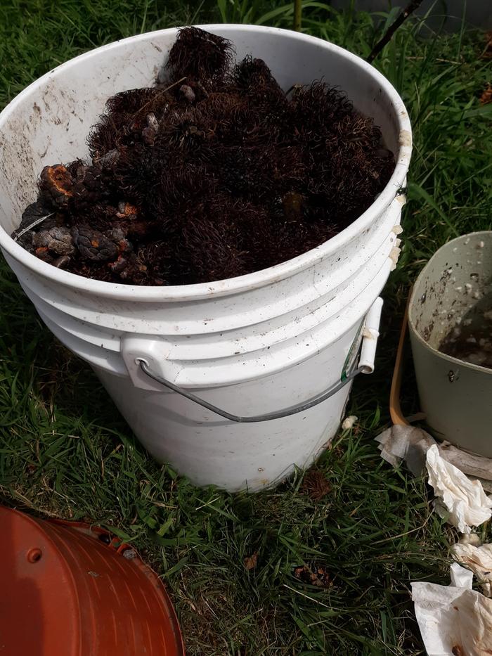 this bucket is near the opened up mulch. but you can't see that, can you, darn.