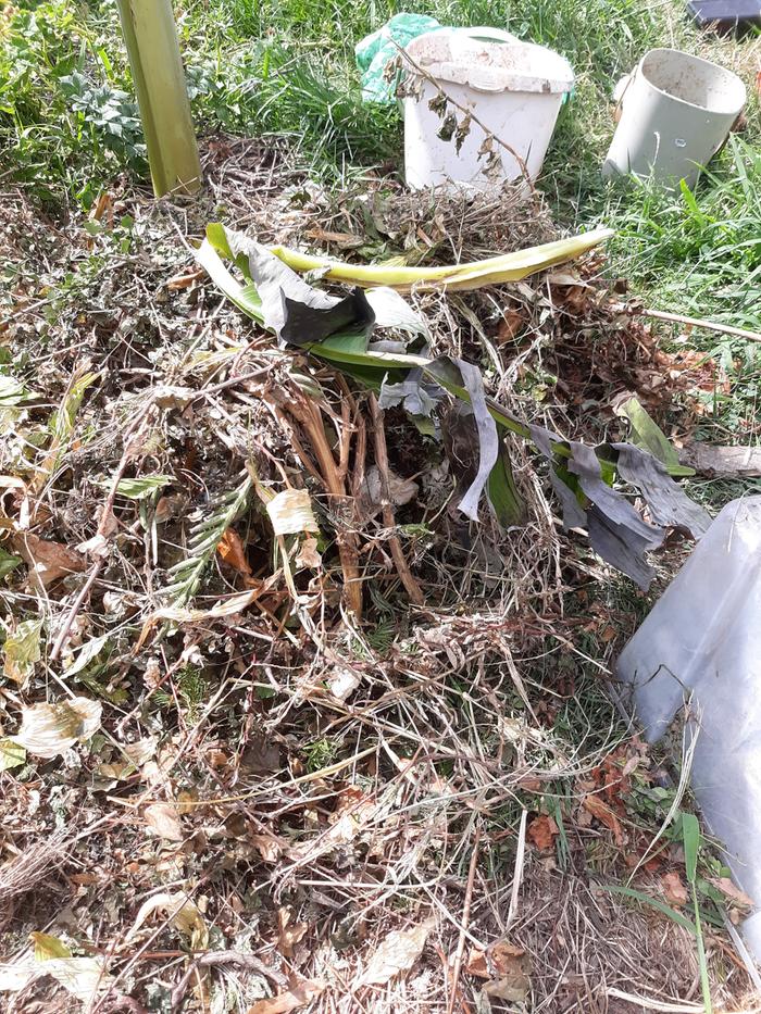 the compost came from these two indoor bins plus what I'd save d up in the big white bucket