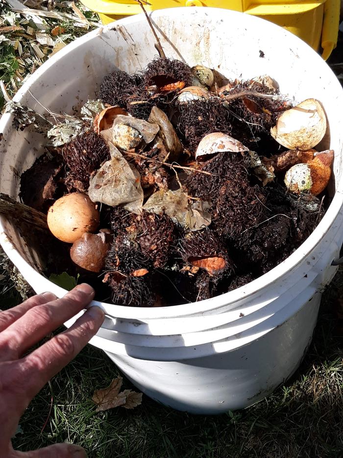 2nd compost bucket before it went in