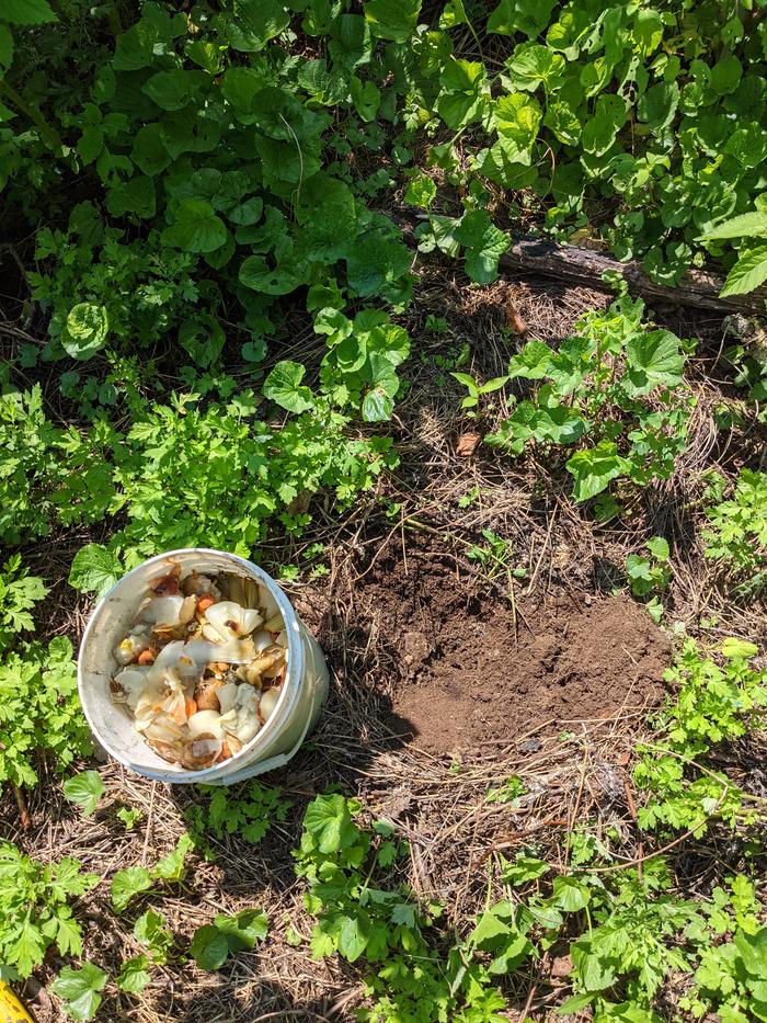 4th dump, using a 2 gallon bucket of veggie scraps that were used for stock.