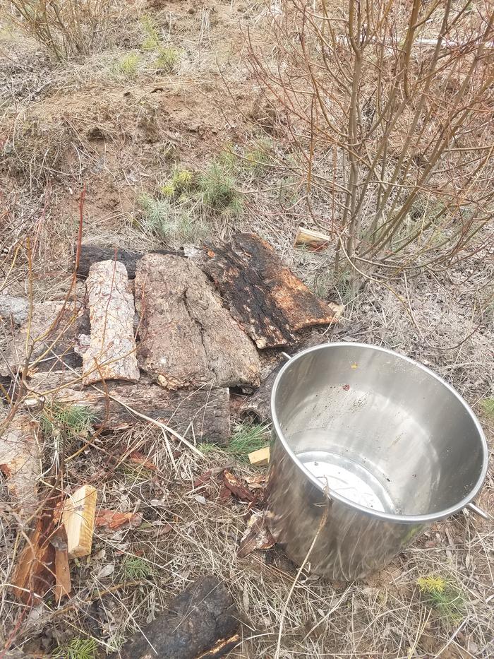 Empty pail and covered with mulch