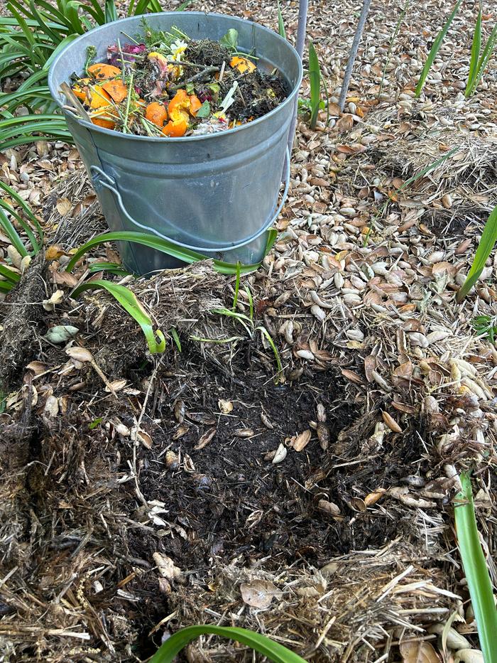 First spot with mulch hole open and full bucket 