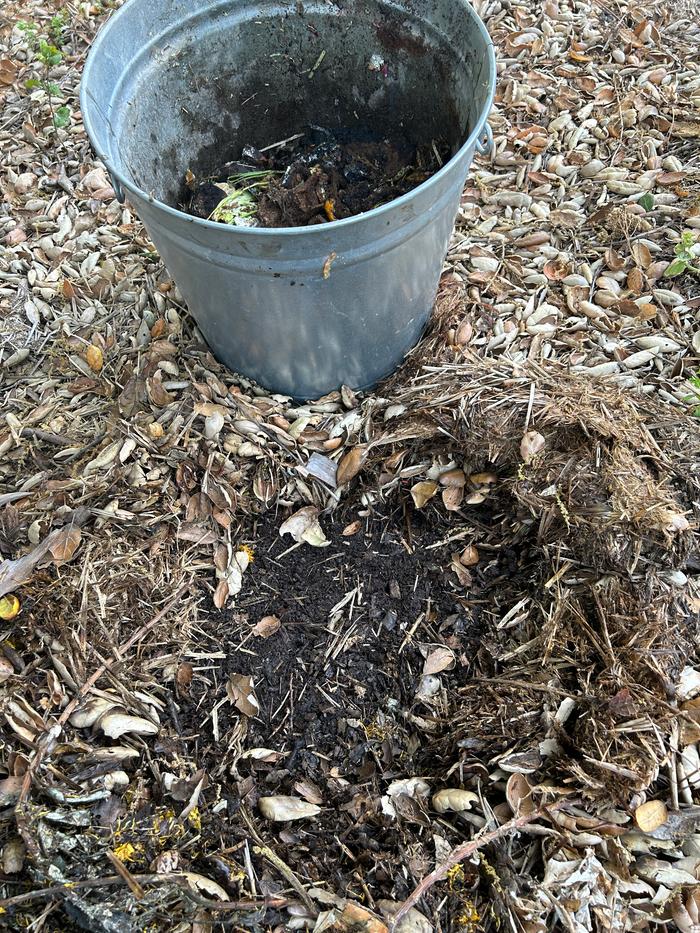 Second spot with mulch hole and half full bucket 