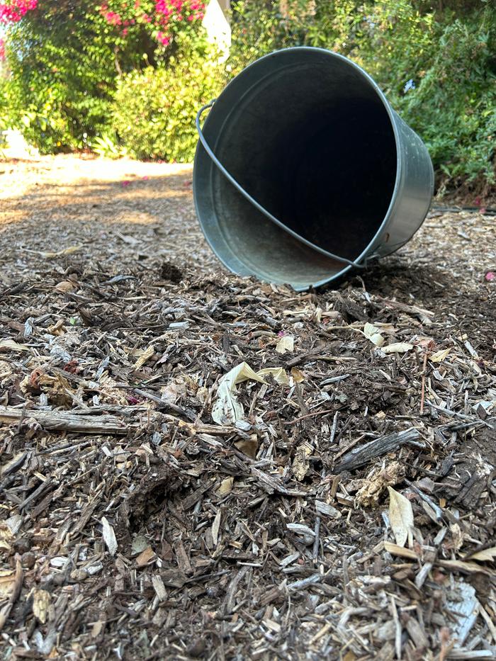 Second hole covered up and empty bucket 