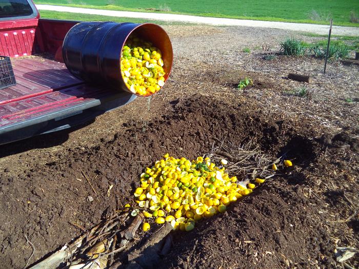 add logs, sticks, and compostables to the pathways