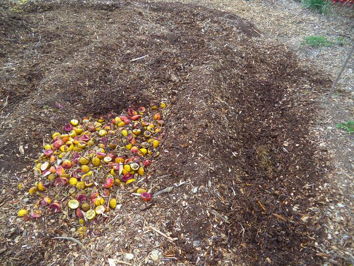 cover with woodchips to make nice walking paths