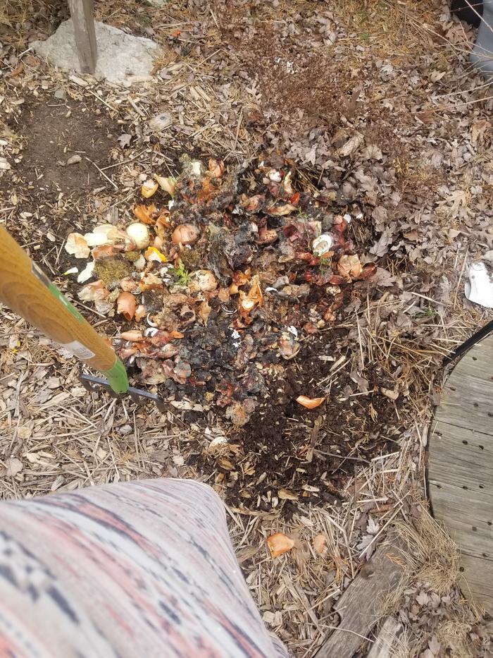 food scraps in hole