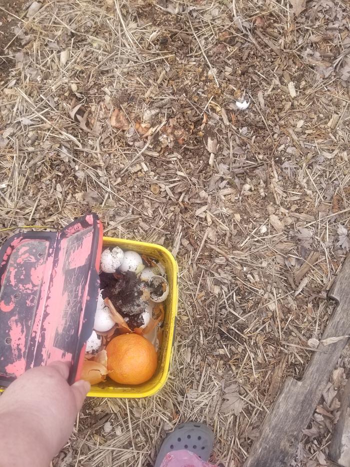 full bucket 1