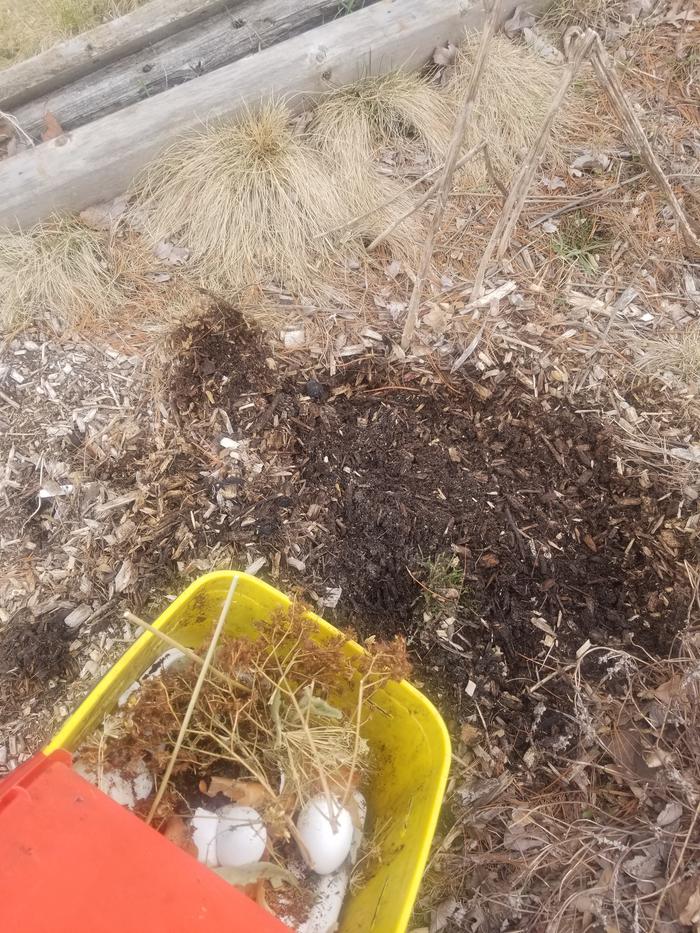 full bucket 2 with empty hole 
