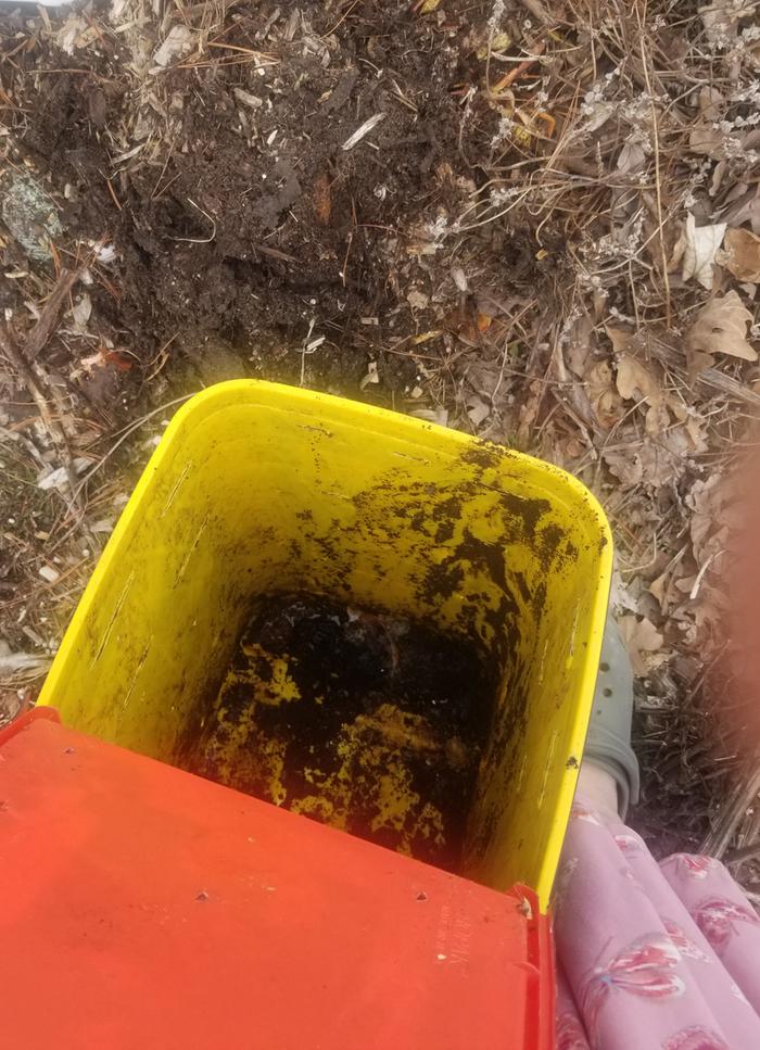 covered scraps and empty bucket