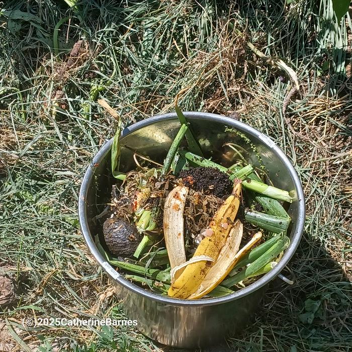 [Thumbnail for BB-Mulch-and-Compost-Ruth-Stout-style-composting-spot2.jpg]