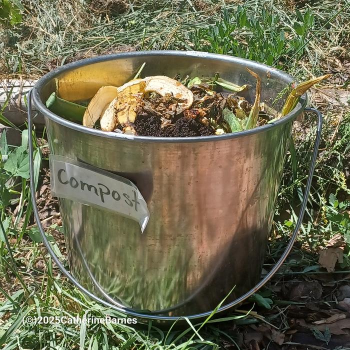 [Thumbnail for BB-Compost-Ruth-Stout-style-composting-spot2.jpg]