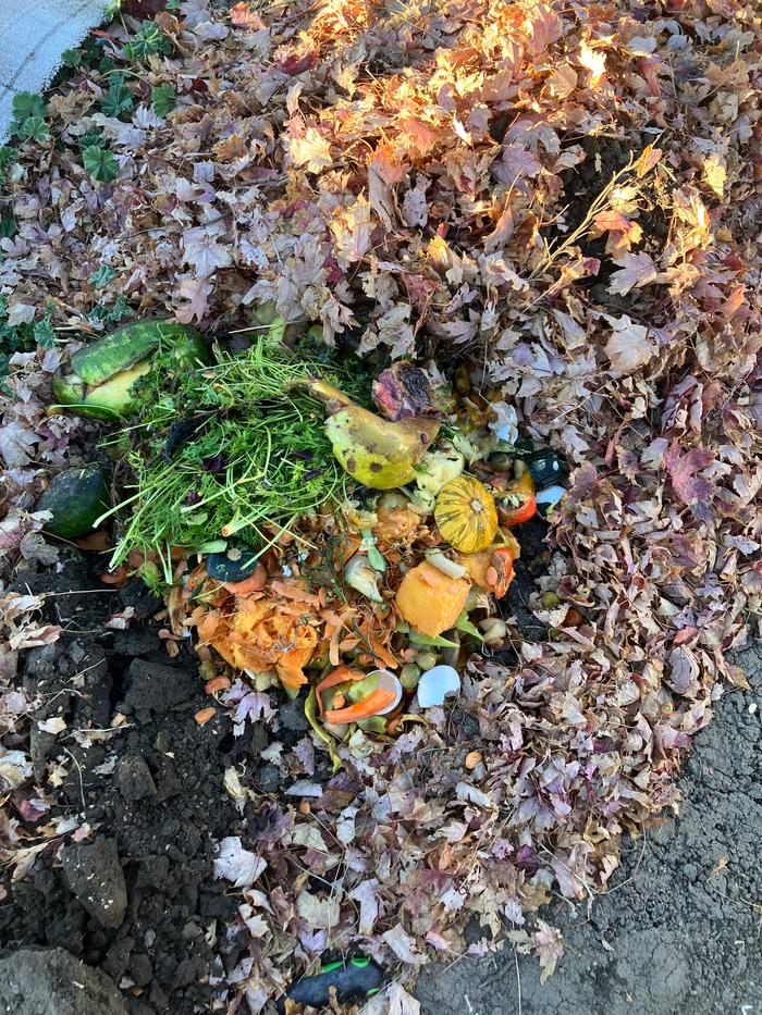 Bucket 2 in its hole