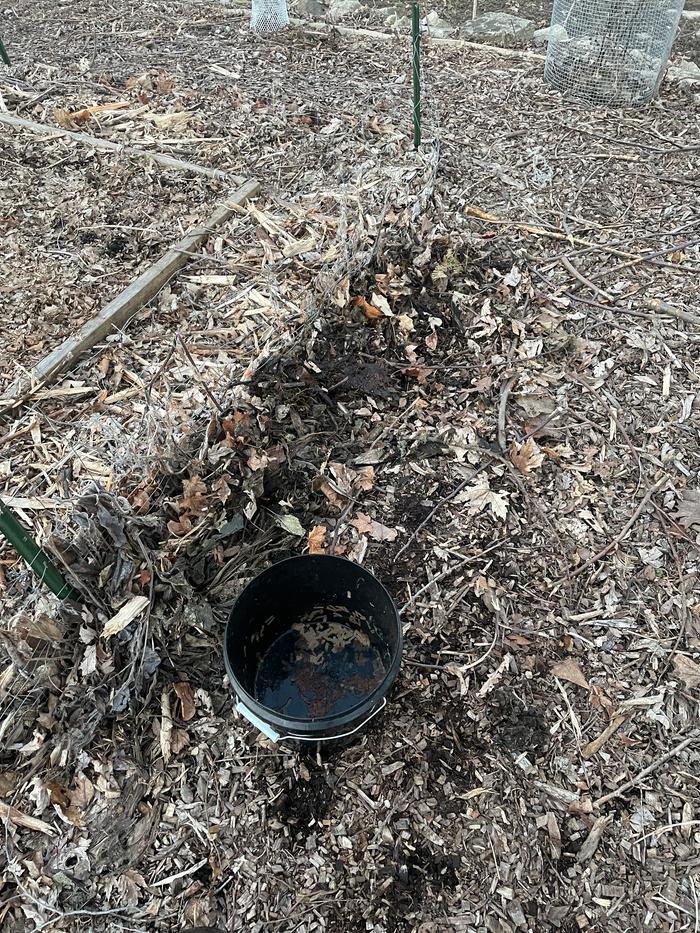 Mulched and Emptied Bucket 1