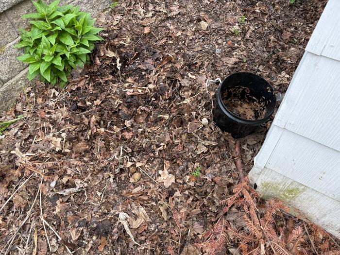 Mulched and Empty Bucket 4
