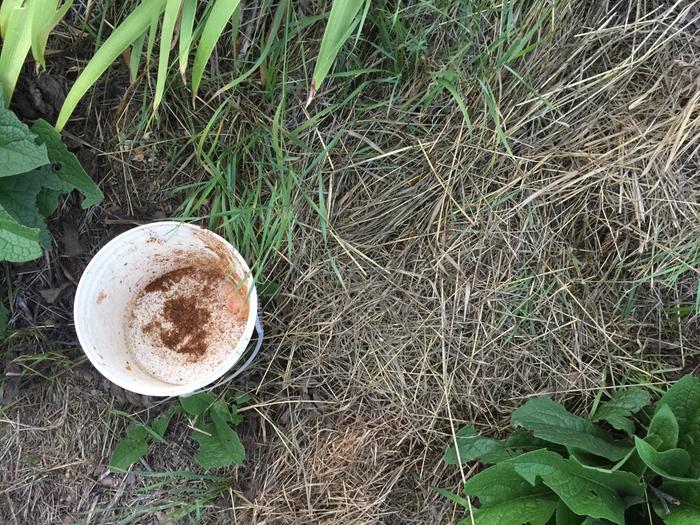 empty bucket covered hole