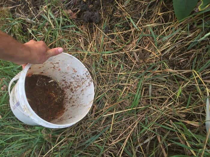 empty bucket and covered up hole