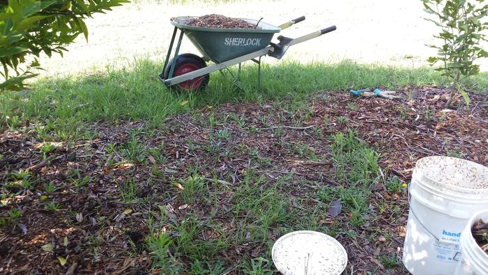 2. Composting site