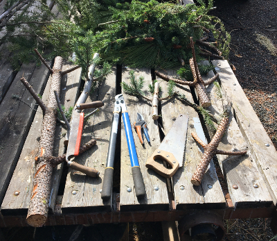 The branches and some tools - used the loppers